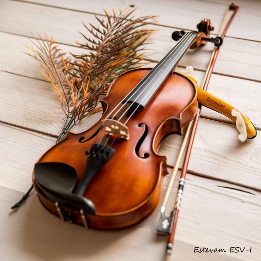 ESV-I-Violin1